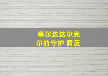 塞尔达达尔克尔的守护 盾反